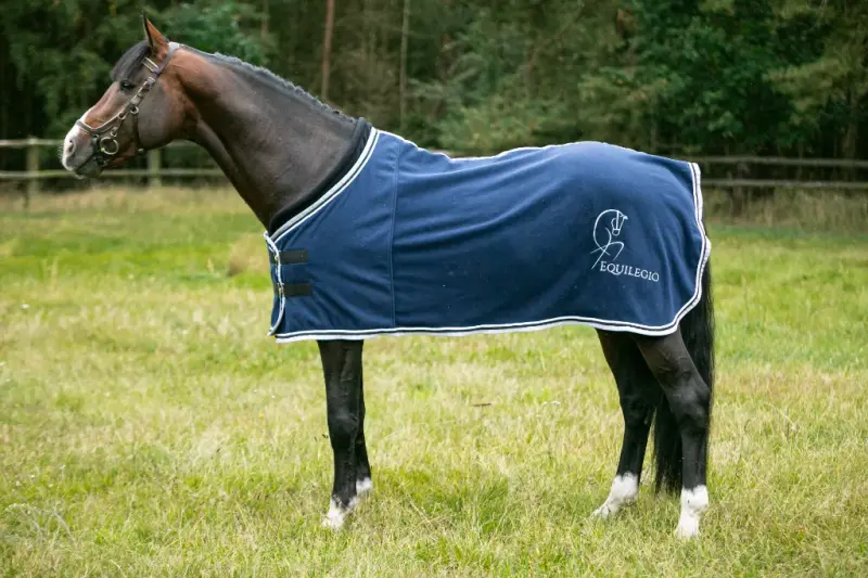 dobra derka jeździecka